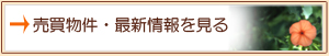 ̍ŐV͂炩炲B