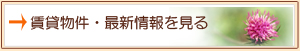 ݕŐV͂炩炲B